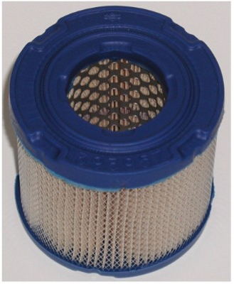 393957 Briggs & Stratton Air Filter