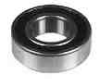 45-295 Dixon Bearing