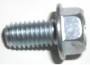 910-1260 Self Tapping Bolt