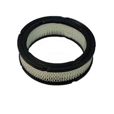 Briggs & Stratton Air Filter 394018