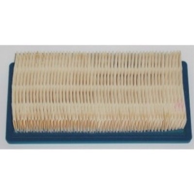 Briggs & Stratton Air Filter 491384