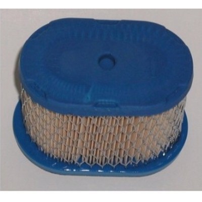 Briggs & Stratton Air Filter 697029