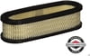 Briggs & Stratton Air Filter 394019