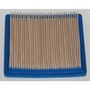 Briggs & Stratton Air Filter 399877