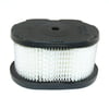 Free Shipping! 8815 Air Filter Compatible With Briggs & Stratton 497725, 497725S