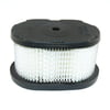 8815 Air Filter Compatible With Briggs & Stratton 497725, 497725S