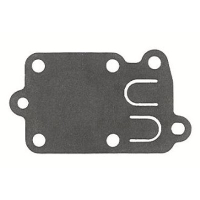 272538 Briggs & Stratton Diaphragm