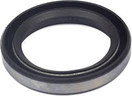 Briggs and Stratton 391086 Oil Seal Replaces 391086/290932/298423