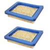 2PK 12941 Air Filters Compatible With Briggs & Statton 491588, 491588S, 5043