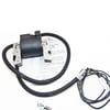 Free Shipping! Genuine Briggs & Stratton Electronic Coil 398811