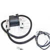 Genuine Briggs & Stratton Electronic Coil 398811