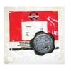 Briggs & Stratton Gas Cap 792647