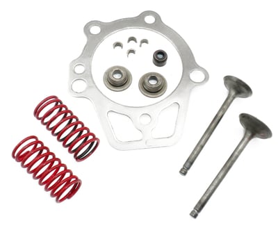 0D24890ESV Valve Retainer Kit Fits GN190/GN220