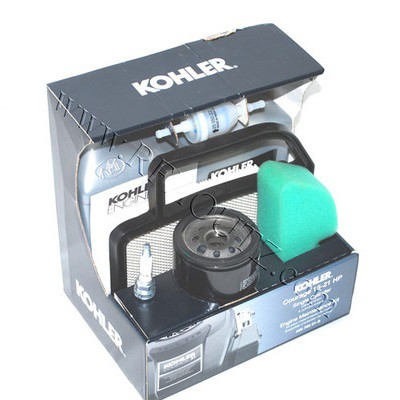 20-789-01-s Kohler Maintenance Kit homelite weed eater fuel filter 