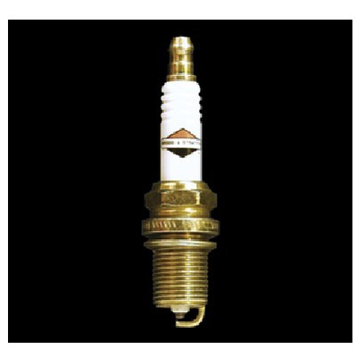 Free Shipping! 696202 Briggs & Stratton Extended Life Series® OHV Spark Plug (Platinum)