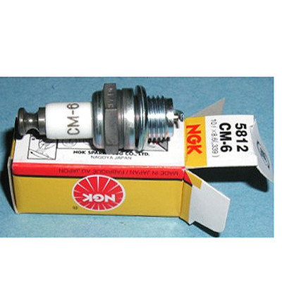 CM6 (5812) NGK Spark Plug For Da Engines 3W engines